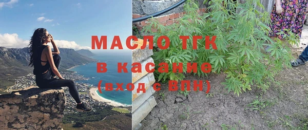 тгк Кулебаки