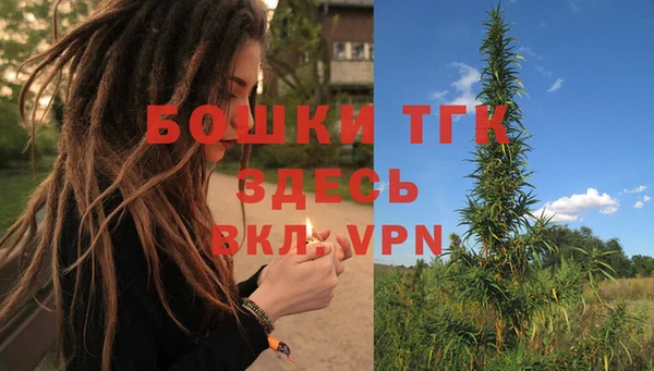 тгк Кулебаки