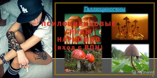 тгк Кулебаки