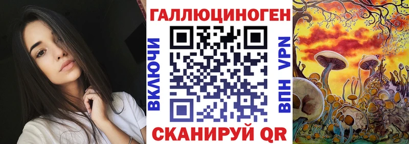 kraken зеркало  Сосенский  Псилоцибиновые грибы ЛСД  наркота 